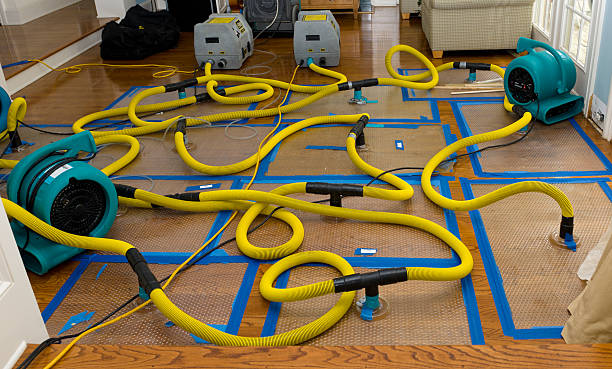 Professional Burst Pipe Water Damage technician working in Portage, WI